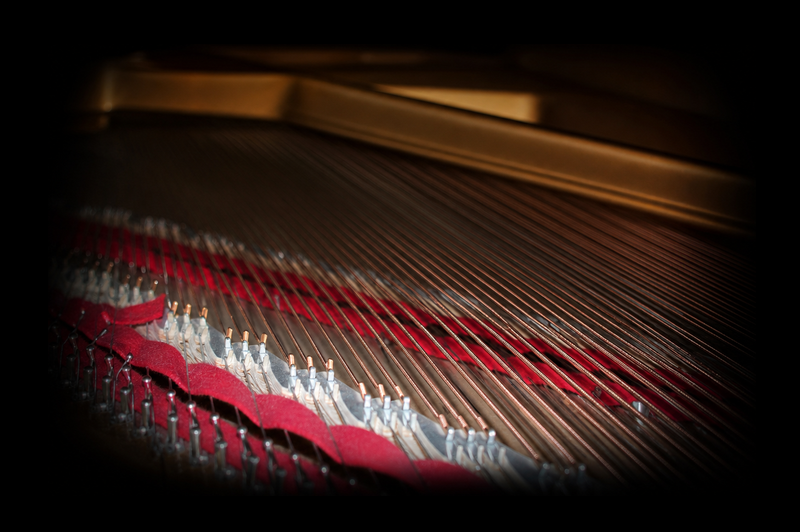 Fazioli Ebony Concert Grand strings