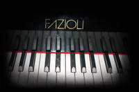 Fazioli Ebony Concert Grand