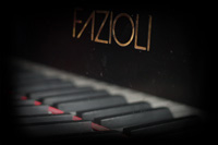 Fazioli Ebony Concert Grand